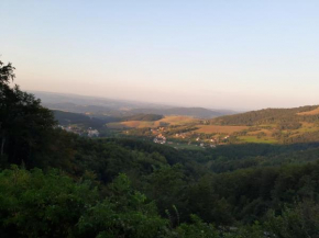 Vila Pogled